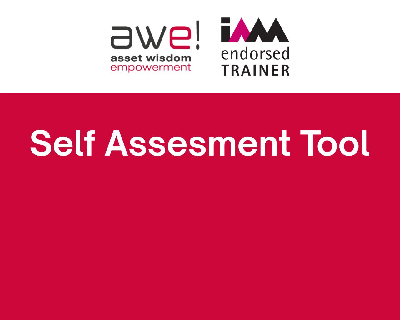 The Self-Assessment Tool