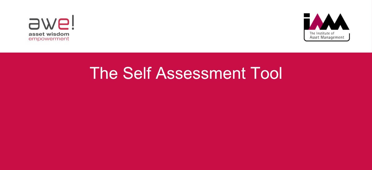 8. The Self Assessment Tool