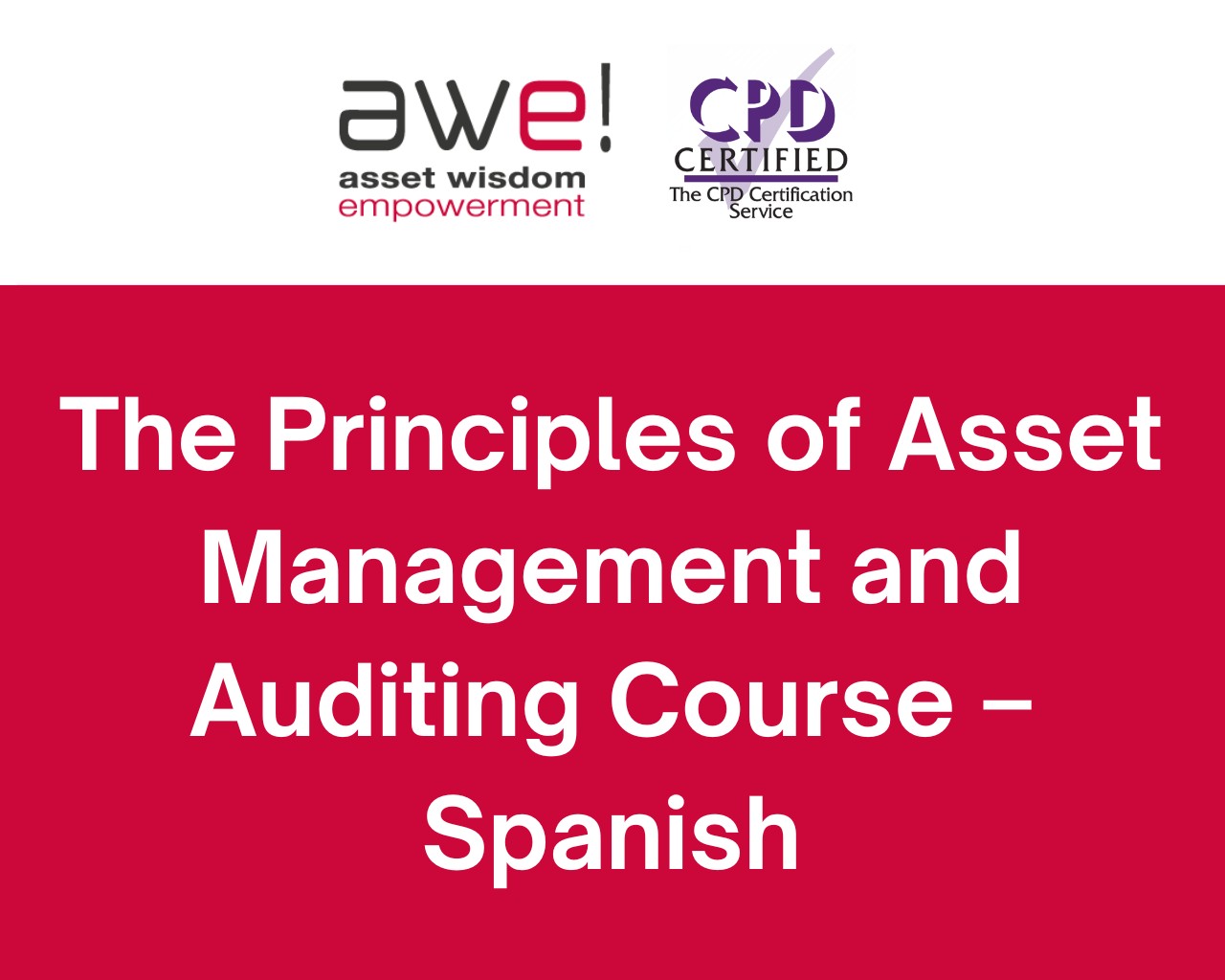 Progression to The Principles of Asset Management and Auditing Course - Spanish